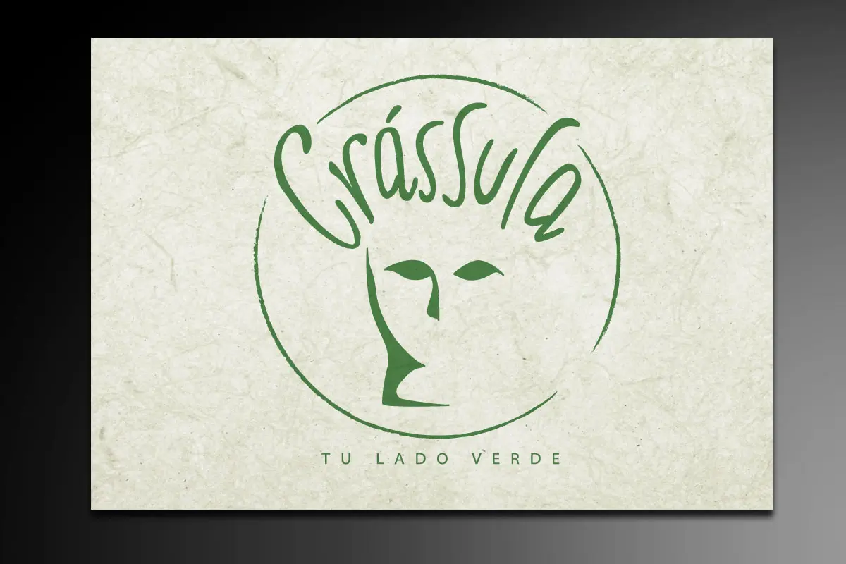 Crassula-Instagram-Diseño-Branding